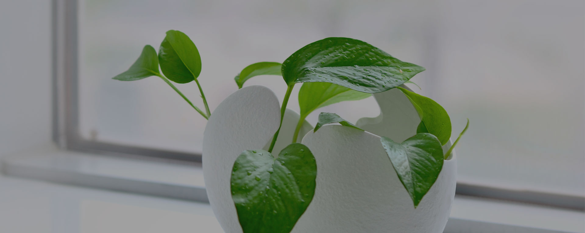 嘉興威勒流體科技有限公司